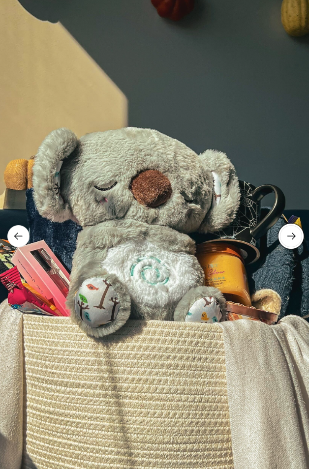 The Relief Koala
