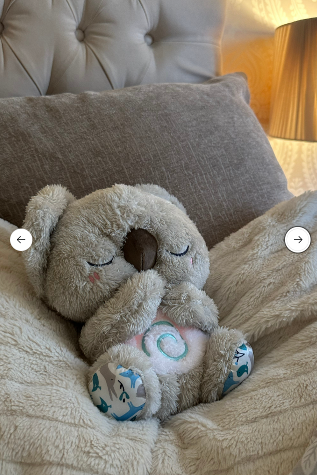 The Relief Koala